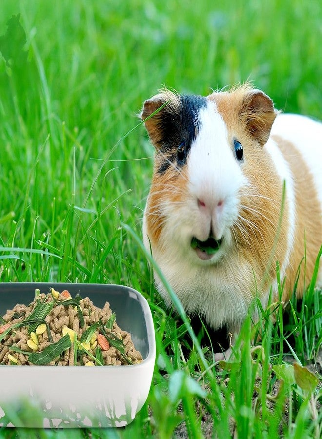 DQITJ 3 Pack Hamster Ceramic Bowl Small Animals Anti-Turning Food Water Bowl for Rabbit Sugar Glider Hamster Guinea Pig Hedgehog Squirrel ((Blue, Green and Brown) - Image 3